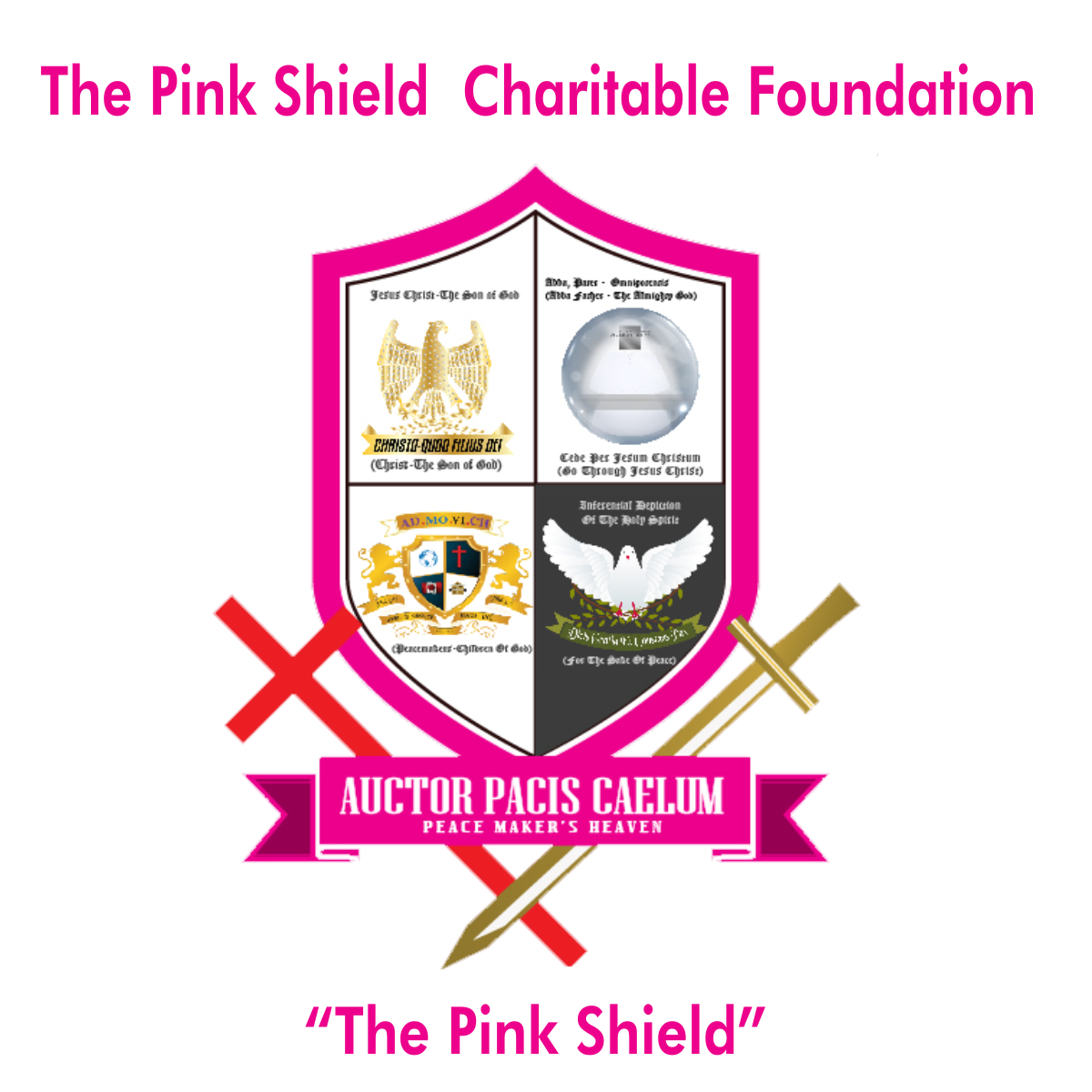 Home the pink (16)