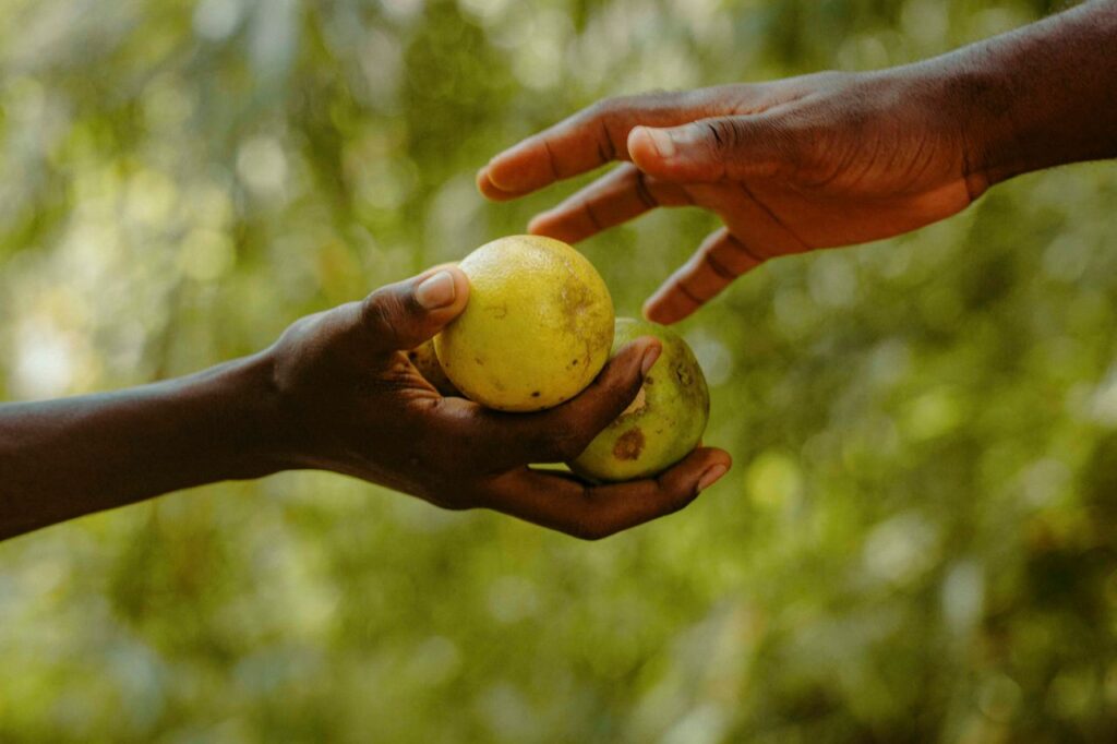 pexels photo 31283603 31283603 A close-up of two hands exchanging limes, symbolizing generosity and community support.